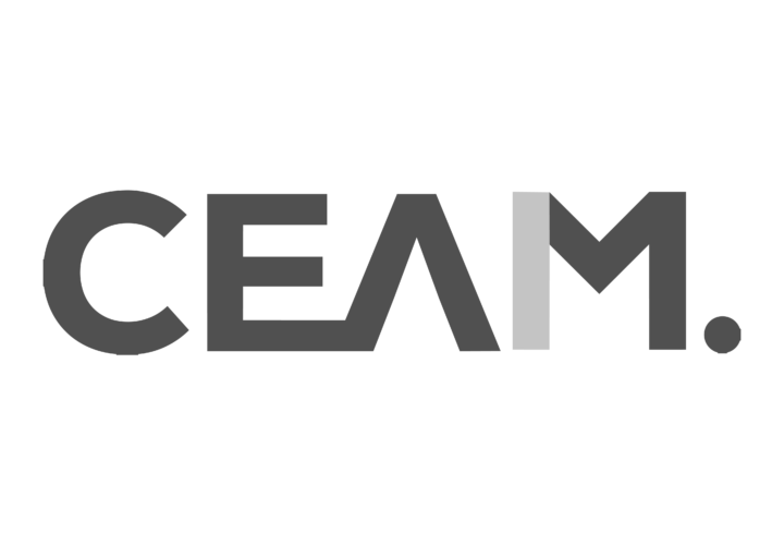 LOGOS PARA WEB MAKING_CEAM