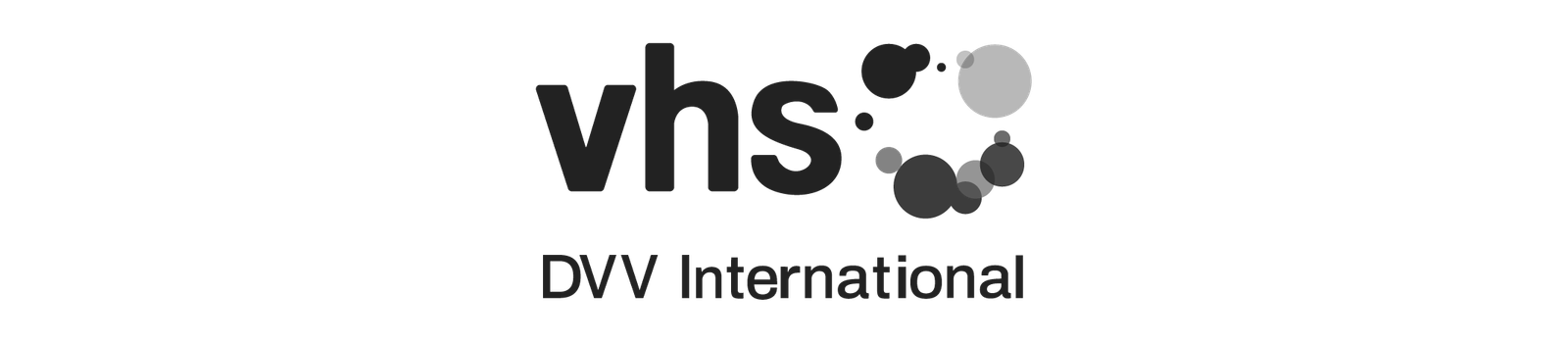 LOGOS WEB MAKING_vhs DVV Internacional